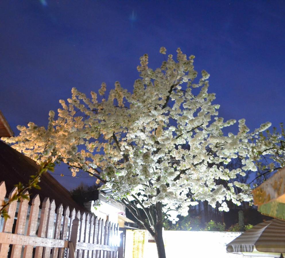 Dove Cottage Srīnagar エクステリア 写真