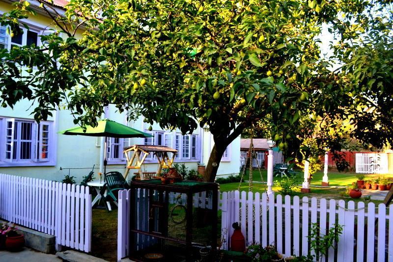 Dove Cottage Srīnagar エクステリア 写真